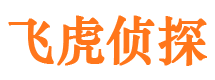 莘县市侦探公司